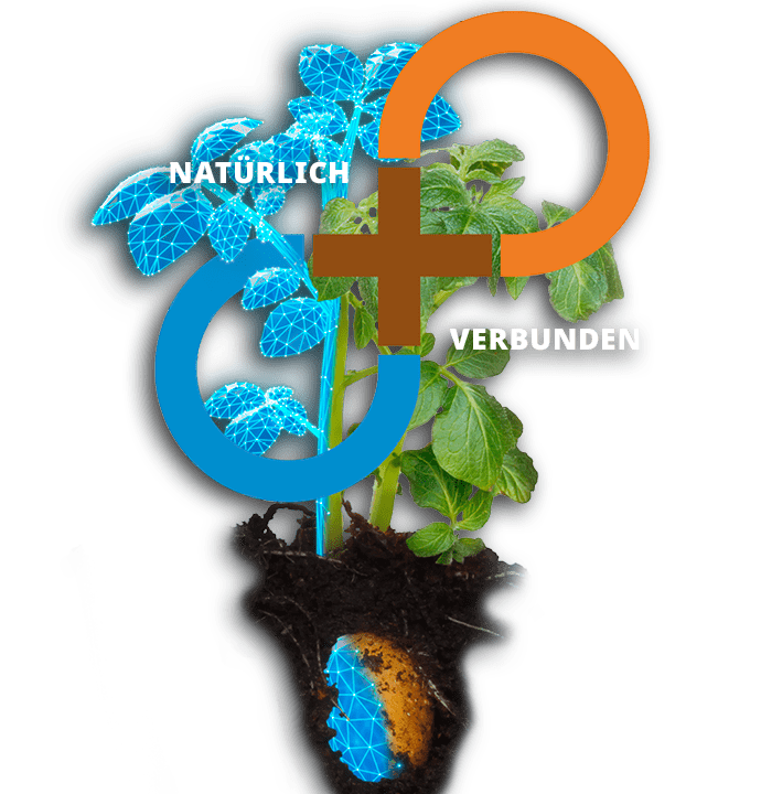 kultur-kartoffel-pronutiva-keyvisual-frei