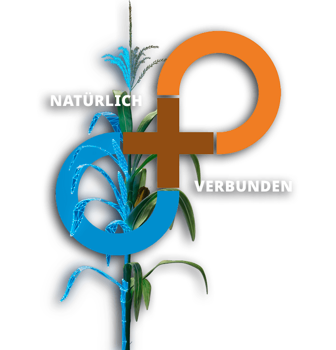 kultur-mais-pronutiva-keyvisual-frei