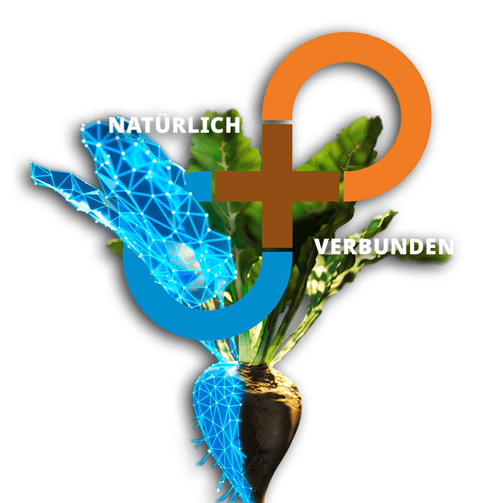 kultur-zuckerruebe-pronutiva-keyvisual-frei